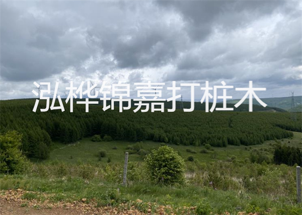 松木樁能重復(fù)施工么？