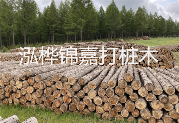 松木樁能施工嗎？探究視頻揭秘真相！